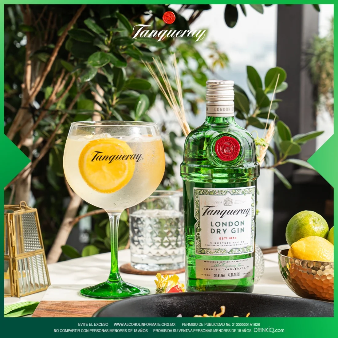 Ginebra Tanqueray London Dry Herbal 750 ml (OFERTA EXCLUSIVA EN LÍNEA) - Image 2