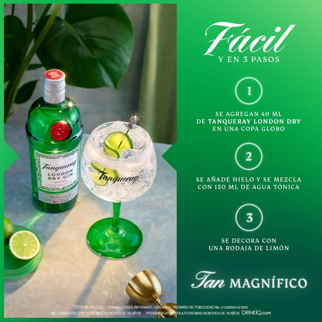 Ginebra Tanqueray London Dry Herbal 750 ml (OFERTA EXCLUSIVA EN LÍNEA) - Image 3