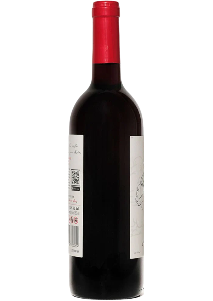 Vino Tinto El Avión de Juguette 750 mL - Image 4